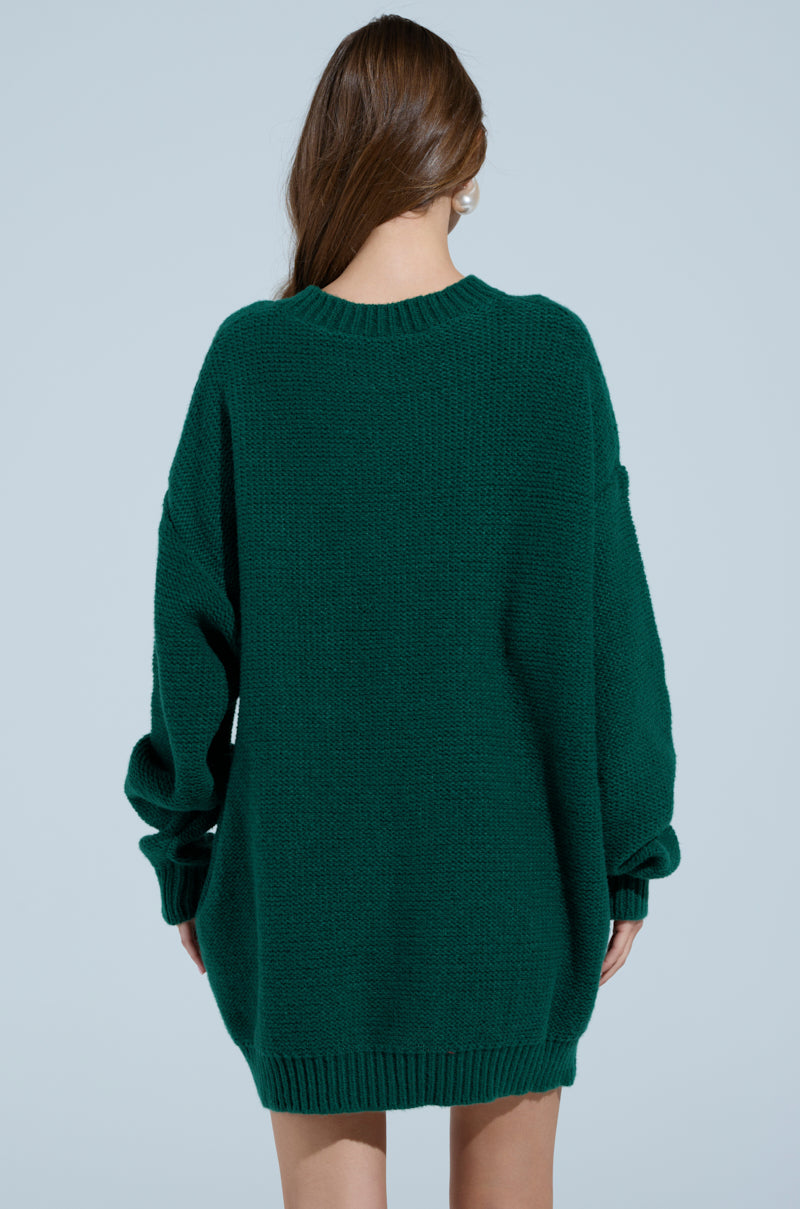 TOO PRETTY PRINTED SWEATER DRESS