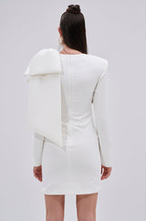 PUT A BOW ON IT MINI DRESS