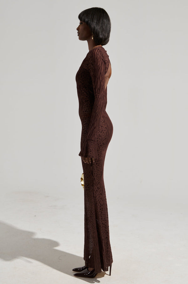 MY GOOD SIDE LEOPARD MESH MAXI DRESS IN BROWN