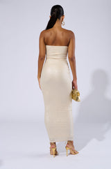IF YOU'RE LUCKY METALLIC MAXI DRESS