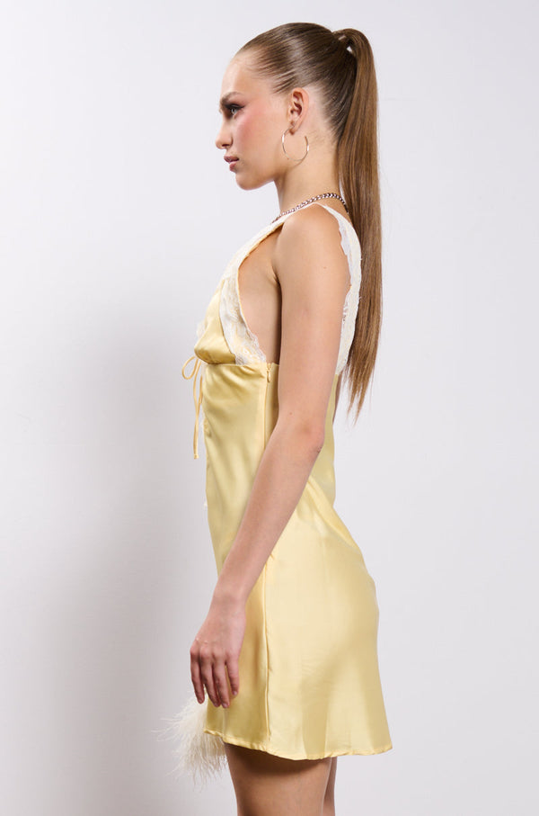 ALEXA SATIN AND LACE MINI DRESS