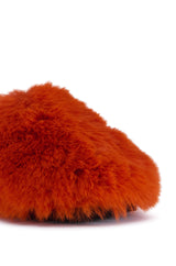 AZALEA WANG WHIRLWIND ORANGE FLAT