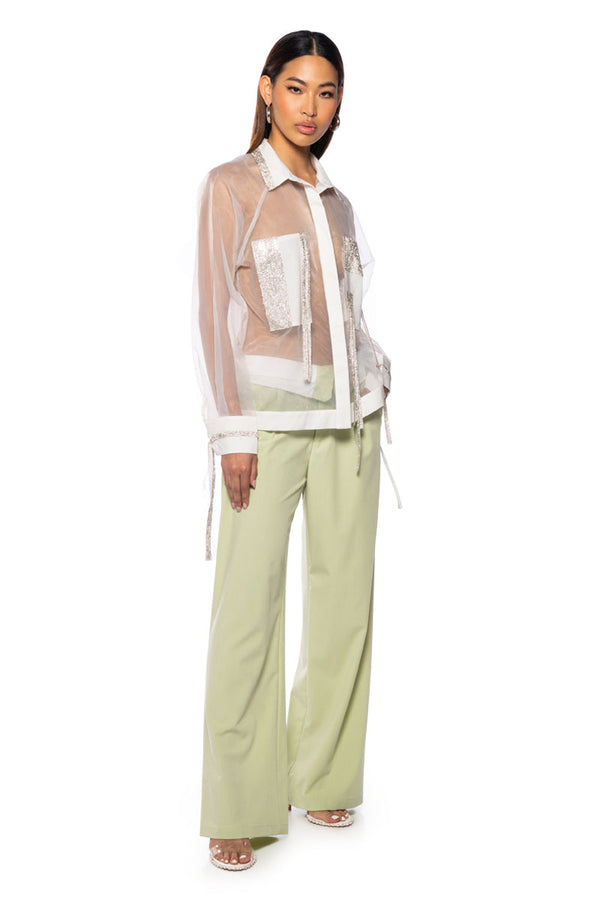 BUSINESS IN THE FRONT SHEER BLOUSE