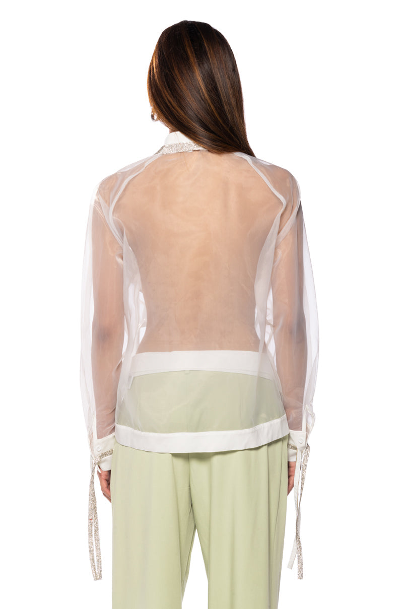 BUSINESS IN THE FRONT SHEER BLOUSE