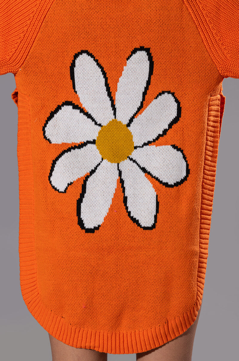 DAISY DREAMING HIGH LOW SWEATER