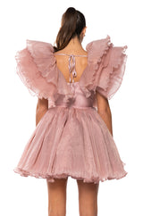 EVER AFTER RUFFLE SLEEVE PLEATED A LINE MINI DRESS