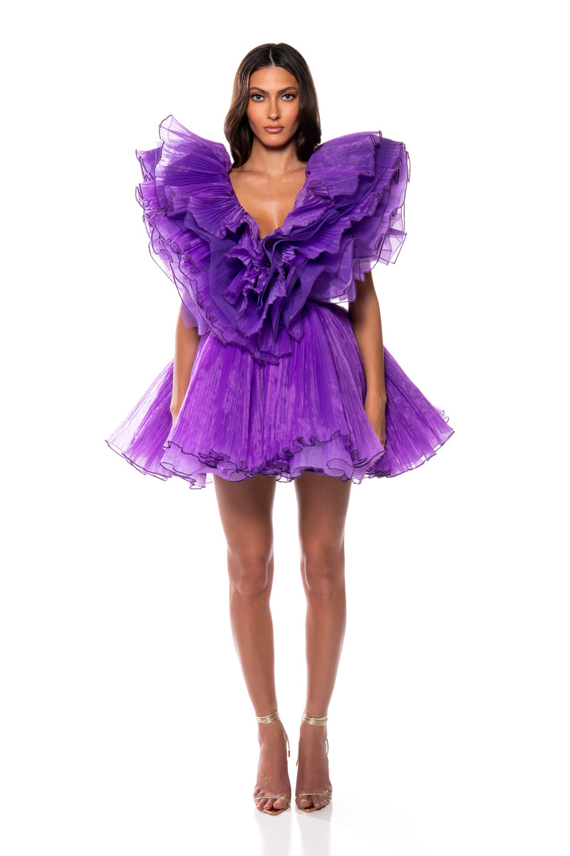 EVER AFTER RUFFLE SLEEVE PLEATED A LINE MINI DRESS