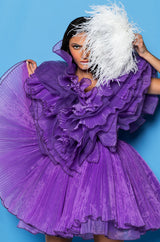 EVER AFTER RUFFLE SLEEVE PLEATED A LINE MINI DRESS