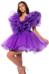 EVER AFTER RUFFLE SLEEVE PLEATED A LINE MINI DRESS