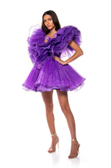 EVER AFTER RUFFLE SLEEVE PLEATED A LINE MINI DRESS