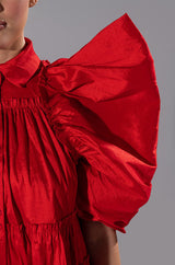 FALL IN LOVE COLLARED MINI DRESS