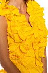 KELSEY RUFFLE OPEN BACK MINI DRESS