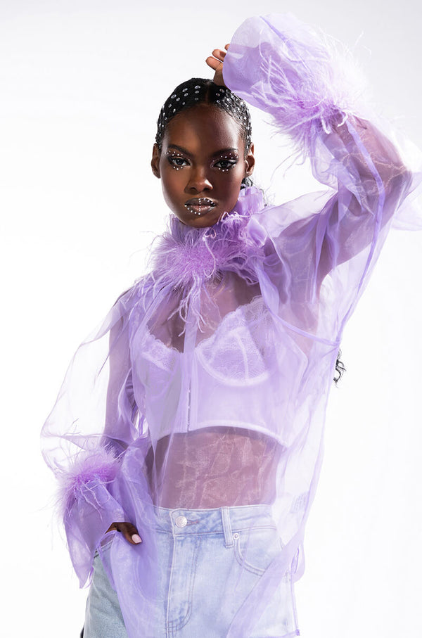 NICE TO MEET YOU FEATHER TRIM LONG SLEEVE ORGANZA BLOUSE