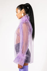 NICE TO MEET YOU FEATHER TRIM LONG SLEEVE ORGANZA BLOUSE