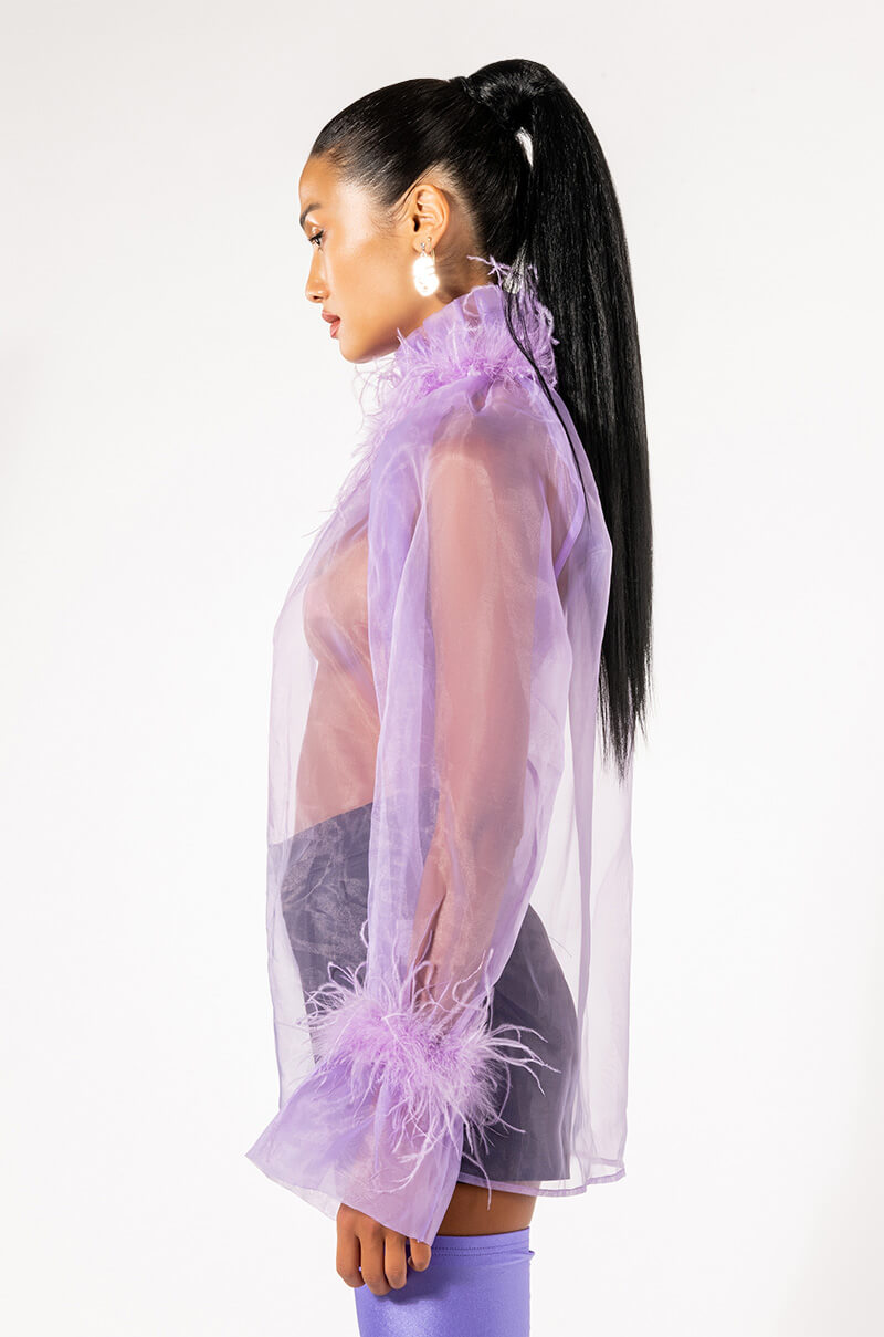 NICE TO MEET YOU FEATHER TRIM LONG SLEEVE ORGANZA BLOUSE