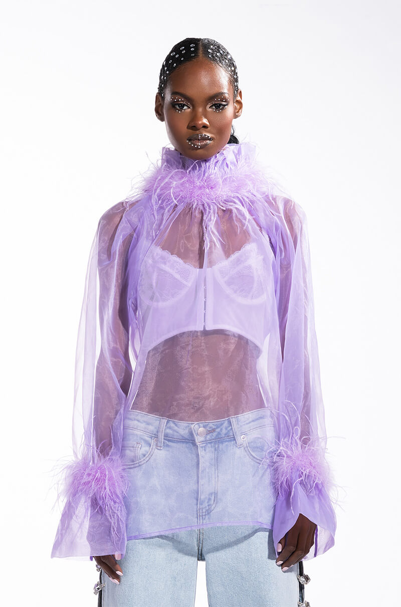 NICE TO MEET YOU FEATHER TRIM LONG SLEEVE ORGANZA BLOUSE
