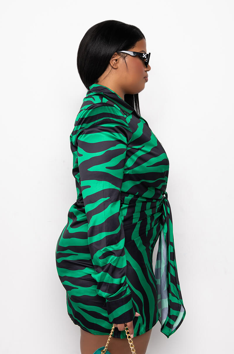 PLUS TIGER BISH SATIN SHIRT DRESS