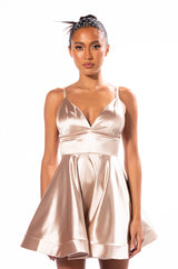 PRETTY PROBLEM FIT AND FLARE MINI DRESS