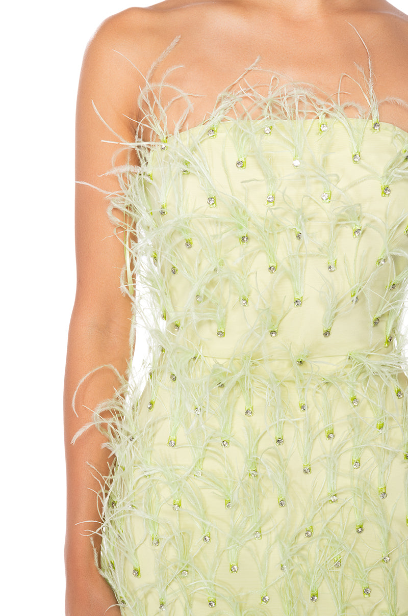PRIMROSE STRAPLESS FEATHER MINI DRESS