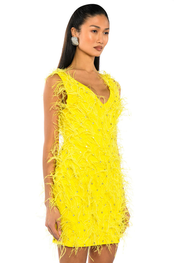 RENDEZVOUS SLEEVELESS FEATHER MINI DRESS