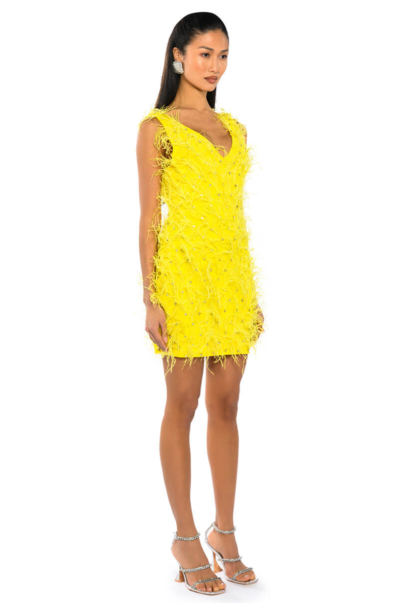 RENDEZVOUS SLEEVELESS FEATHER MINI DRESS
