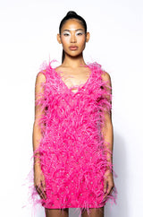 STAR OF THE SHOW FEATHER MINI DRESS