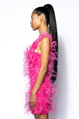 STAR OF THE SHOW FEATHER MINI DRESS