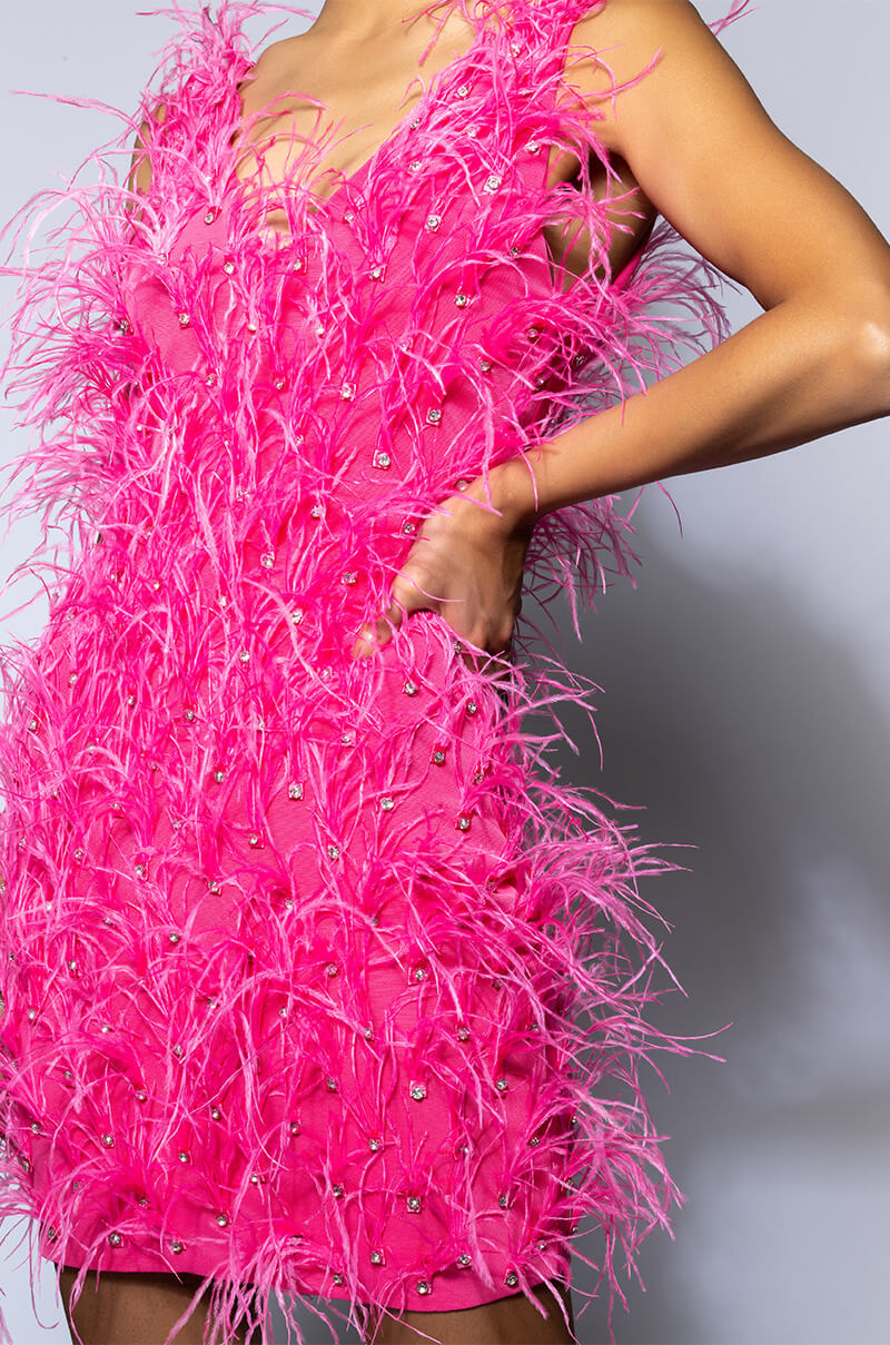 STAR OF THE SHOW FEATHER MINI DRESS