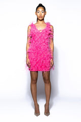 STAR OF THE SHOW FEATHER MINI DRESS