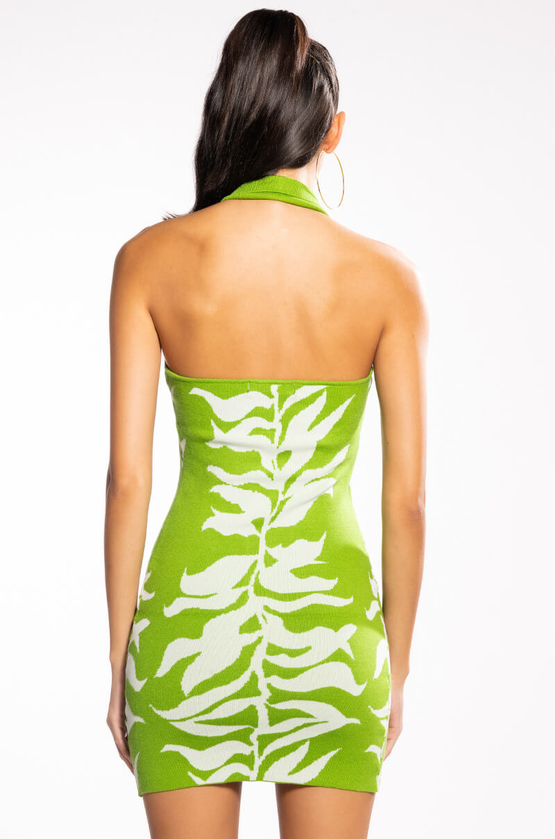ROAR WITH ME ZEBRA KNIT MIDI DRESS