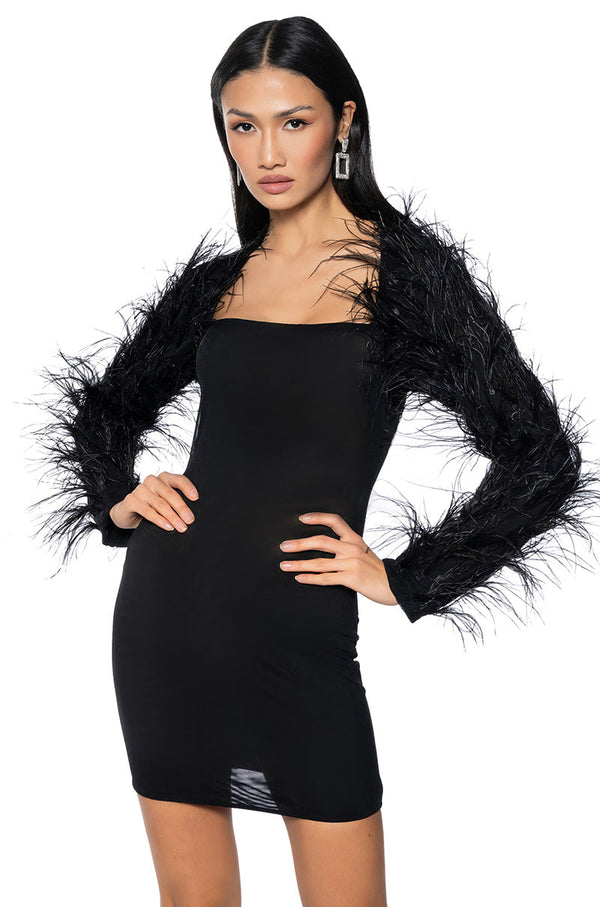 RUFFLE MY FEATHERS MESH MINI DRESS