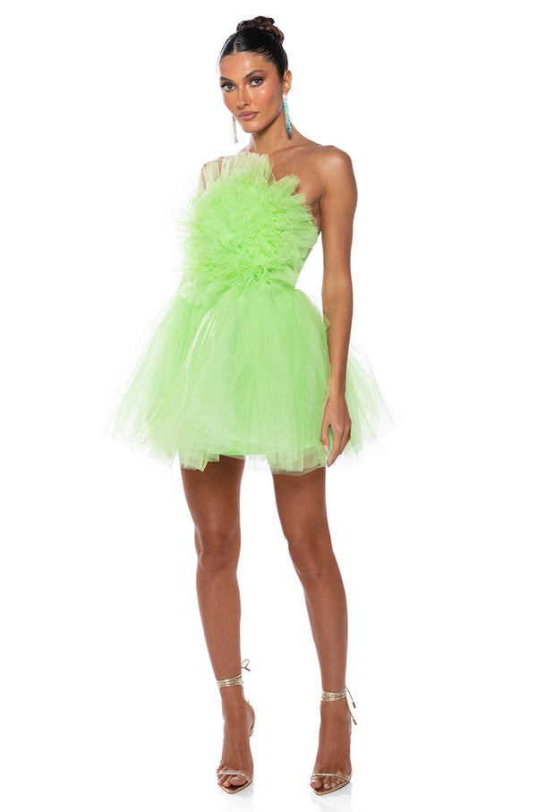 SOMETHING LIGHT TULLE MINI DRESS