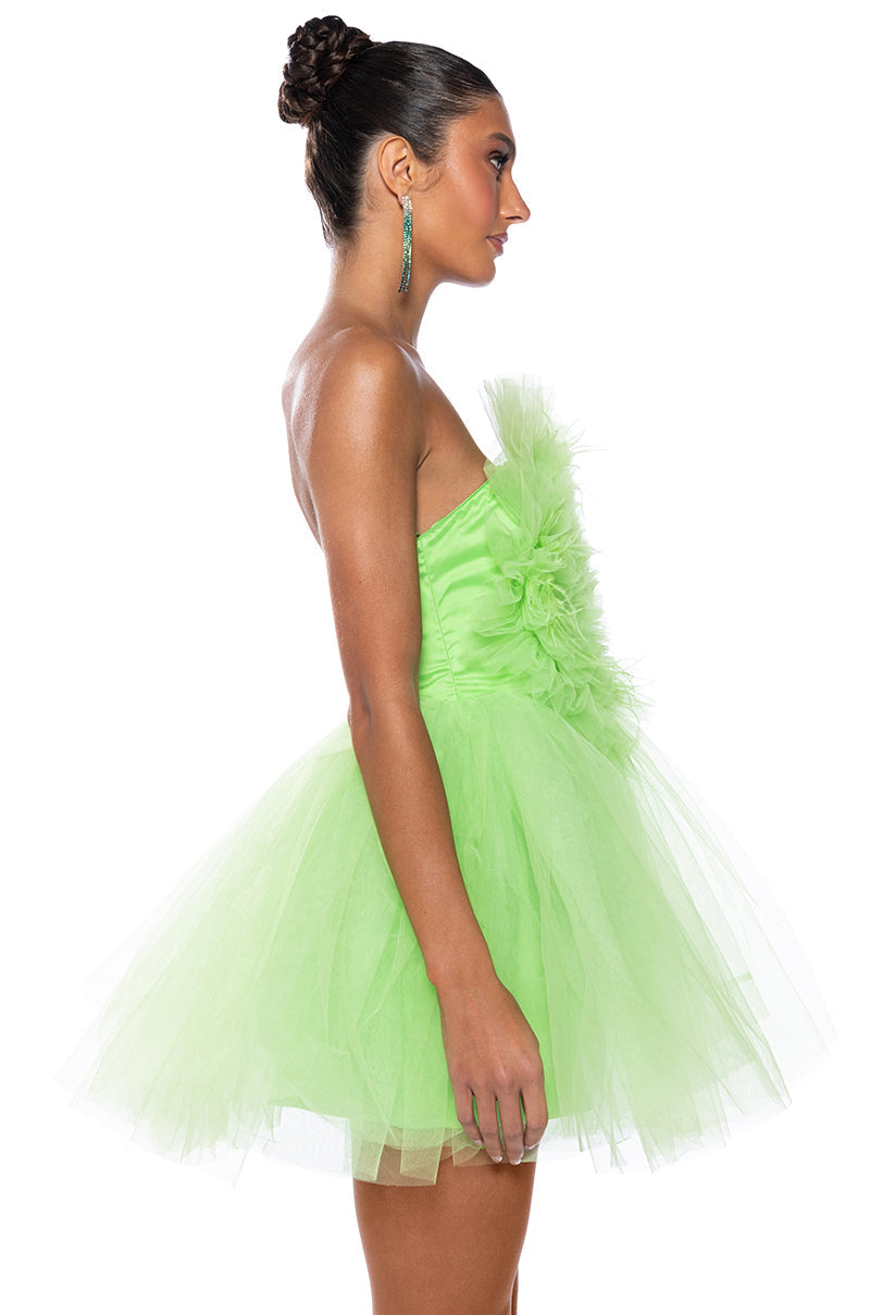 SOMETHING LIGHT TULLE MINI DRESS