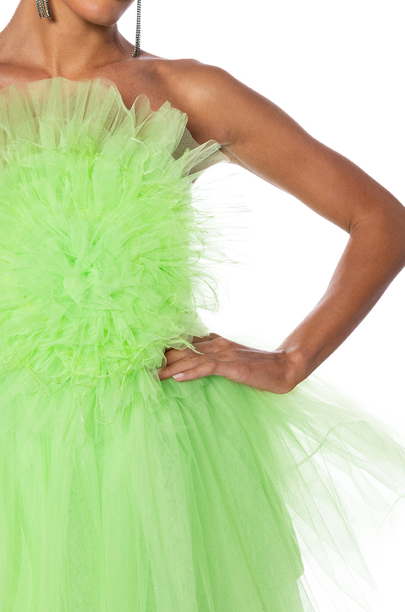 SOMETHING LIGHT TULLE MINI DRESS