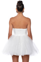 SOMETHING SLIGHT TULLE MINI DRESS