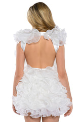 RAOLA ULTRA RUFFLED SLEEVELESS DRESS