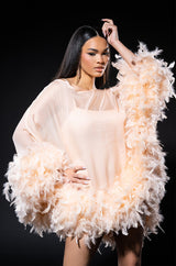 THAT VA VA VOOM LONG SLEEVE SHEER TRAPEZE DRESS