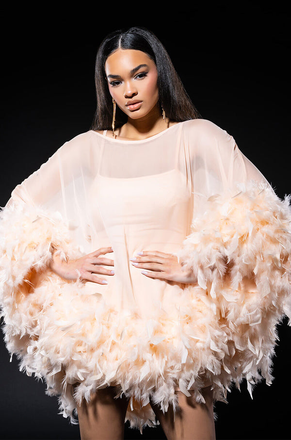 THAT VA VA VOOM LONG SLEEVE SHEER TRAPEZE DRESS