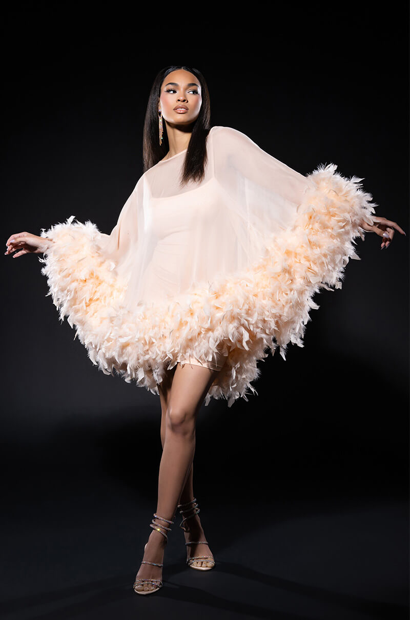 THAT VA VA VOOM LONG SLEEVE SHEER TRAPEZE DRESS