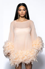 THAT VA VA VOOM LONG SLEEVE SHEER TRAPEZE DRESS