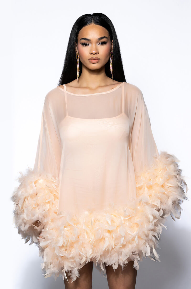 THAT VA VA VOOM LONG SLEEVE SHEER TRAPEZE DRESS
