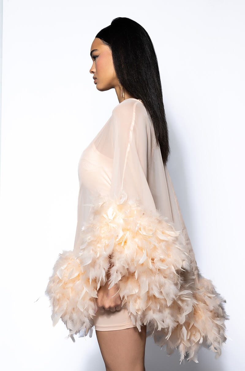 THAT VA VA VOOM LONG SLEEVE SHEER TRAPEZE DRESS