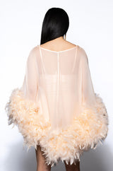 THAT VA VA VOOM LONG SLEEVE SHEER TRAPEZE DRESS