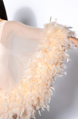 THAT VA VA VOOM LONG SLEEVE SHEER TRAPEZE DRESS