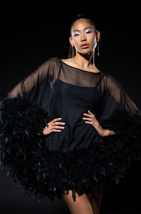 THAT VA VA VOOM LONG SLEEVE SHEER TRAPEZE DRESS