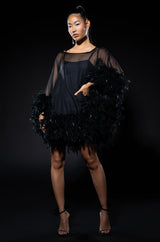 THAT VA VA VOOM LONG SLEEVE SHEER TRAPEZE DRESS