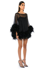 THAT VA VA VOOM LONG SLEEVE SHEER TRAPEZE DRESS