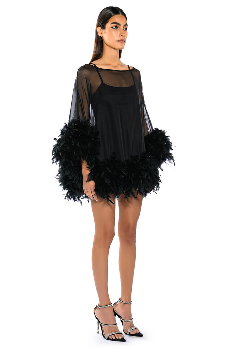 THAT VA VA VOOM LONG SLEEVE SHEER TRAPEZE DRESS