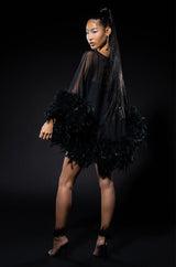 THAT VA VA VOOM LONG SLEEVE SHEER TRAPEZE DRESS