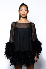 THAT VA VA VOOM LONG SLEEVE SHEER TRAPEZE DRESS